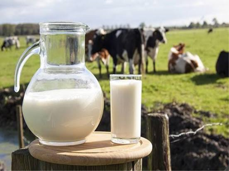 İçme Sütlerinde Yeni Dönem: Şeker ve Aroma Kullanımına Sınır